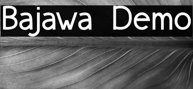 Bajawa Demo Шрифта examples