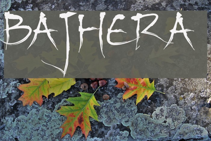 Bajhera Font examples