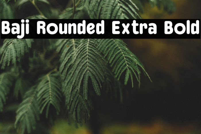 Baji Rounded Extra Bold Example 1