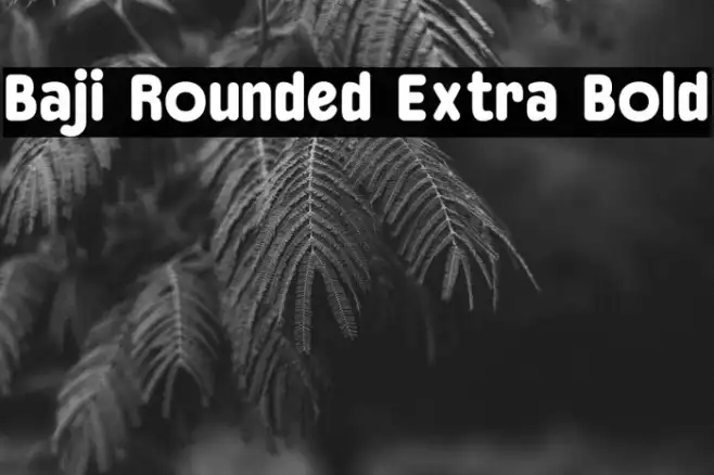 Baji Rounded Extra Bold Example 1