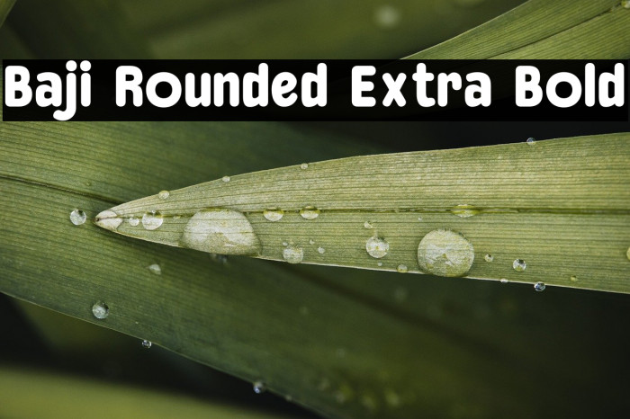 Baji Rounded Extra Bold Example 3