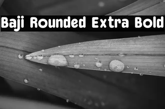 Baji Rounded Extra Bold Example 3