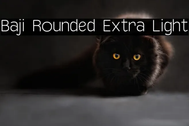 Baji Rounded Extra Light Example 1