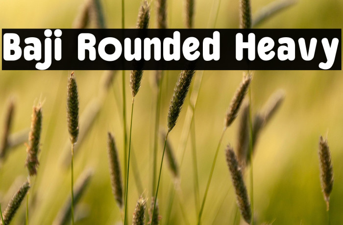 Baji Rounded Heavy Example 1