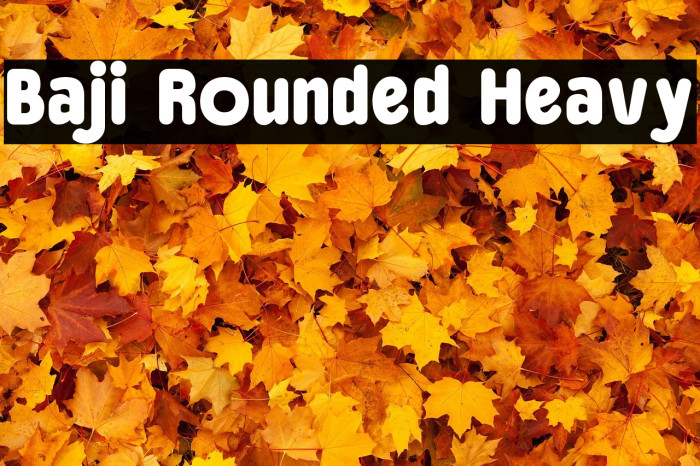 Baji Rounded Heavy Example 3