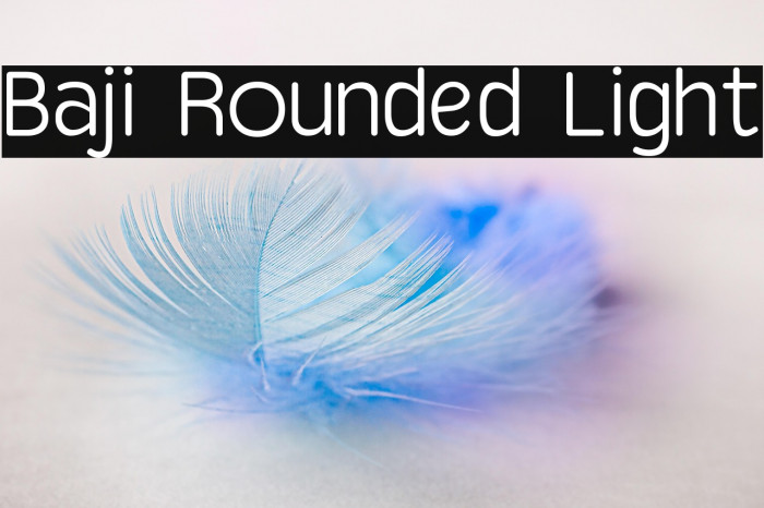 Baji Rounded Light Example 1