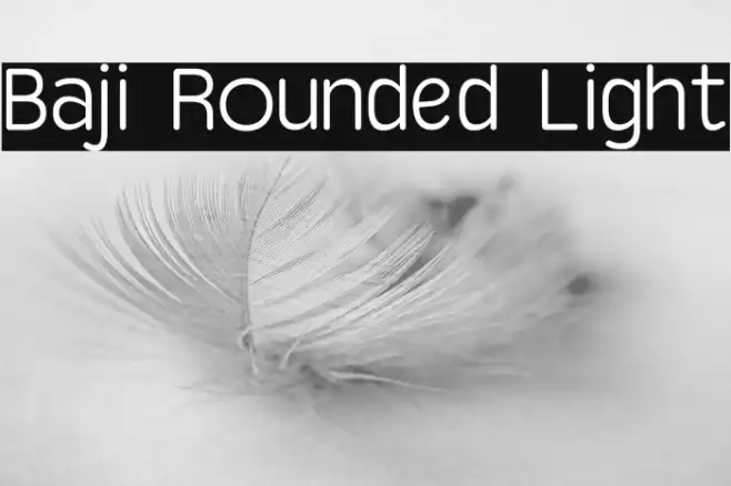 Baji Rounded Light Example 1