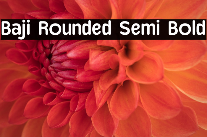 Baji Rounded Semi Bold Example 2