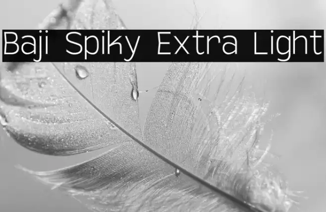 Baji Spiky Extra Light Example 3