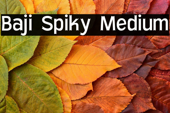Baji Spiky Medium Example 3
