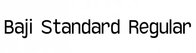 Baji Standard Regular 