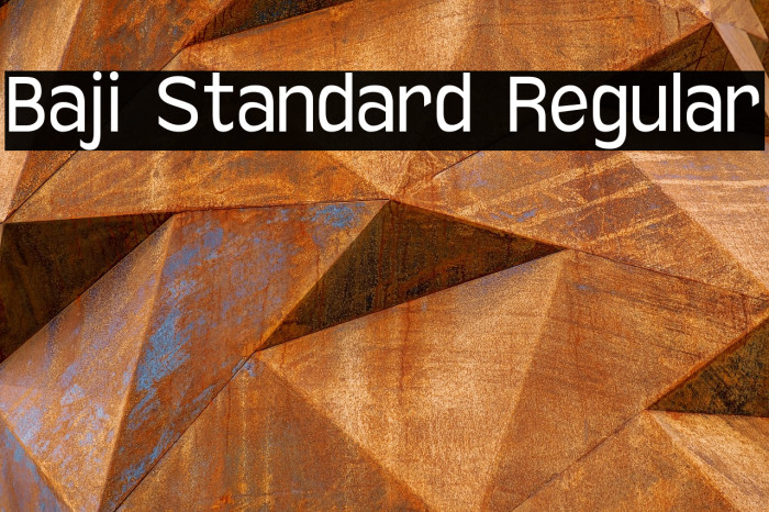 Baji Standard Regular Example 2