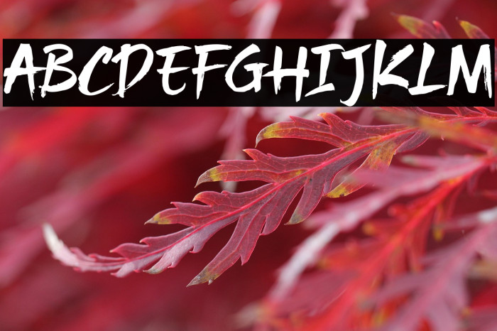 Bajigur_Demo Example 3