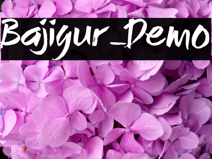 Bajigur_Demo Example 3