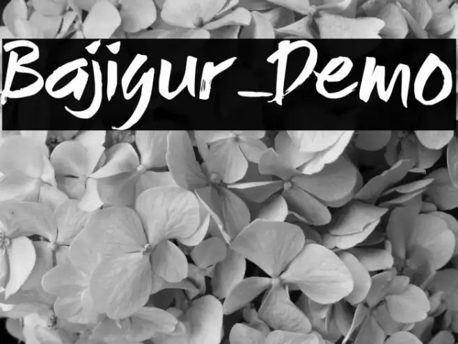 Bajigur_Demo Font examples