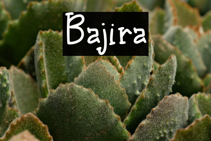 Bajira Example 1