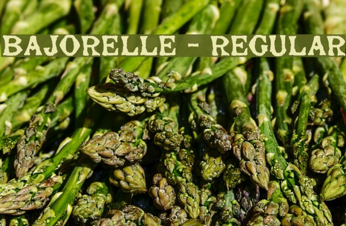 Bajorelle - Regular Font examples
