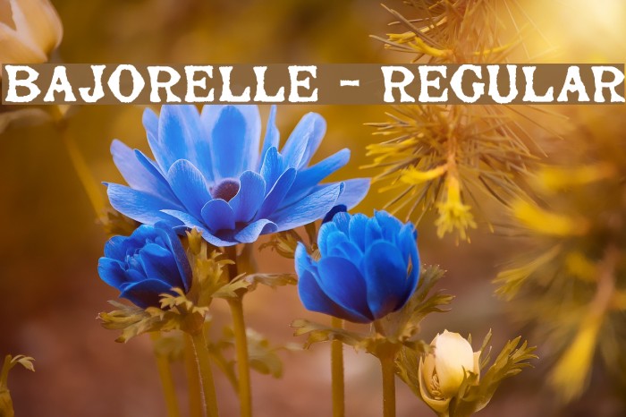 Bajorelle - Regular Font examples