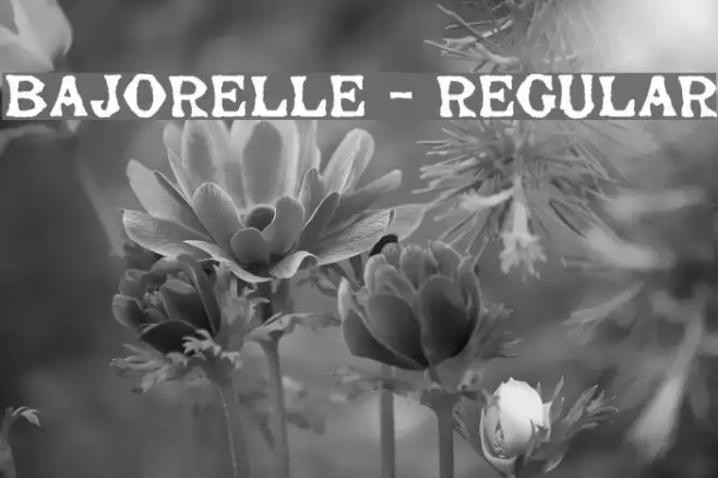 Bajorelle - Regular Example 3