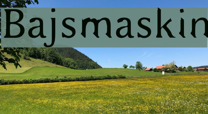 Bajsmaskin Font examples