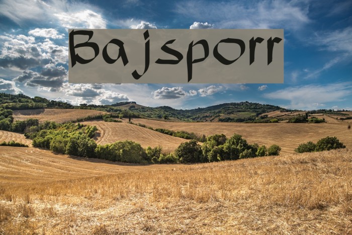 Bajsporr Font examples