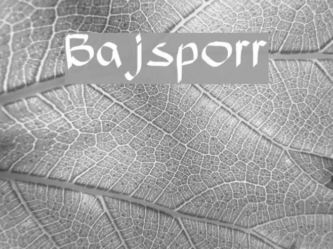 Bajsporr Font examples