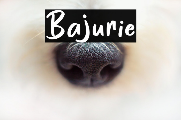 Bajurie Example 2