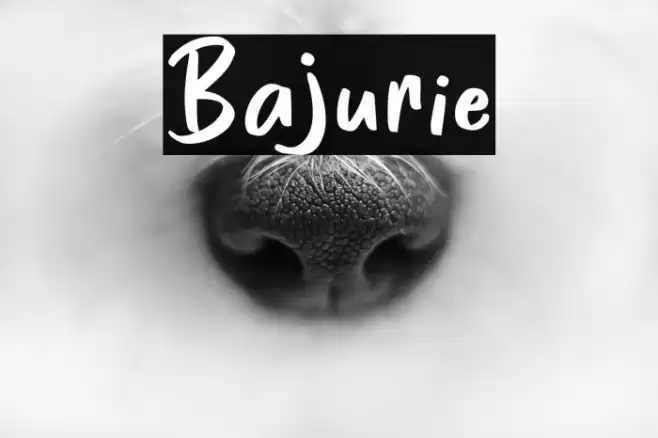 Bajurie Font examples