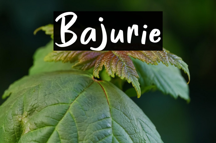Bajurie Example 3