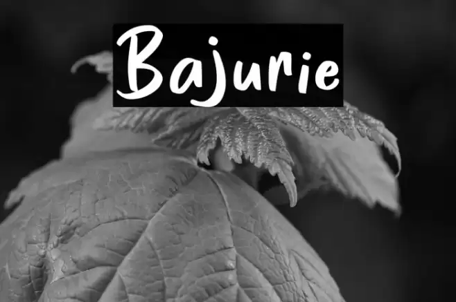 Bajurie Font examples
