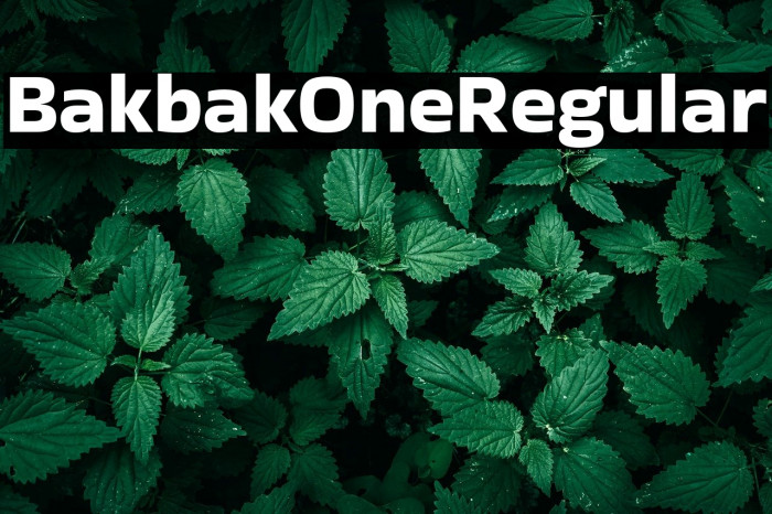 Bakbak One Regular Example 1