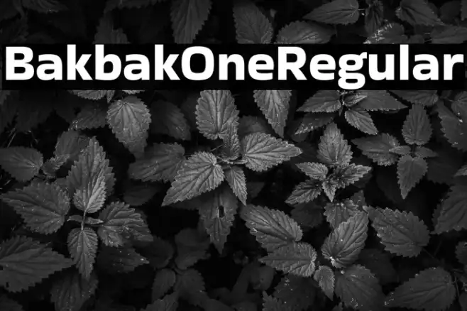 Bakbak One Regular Example 1
