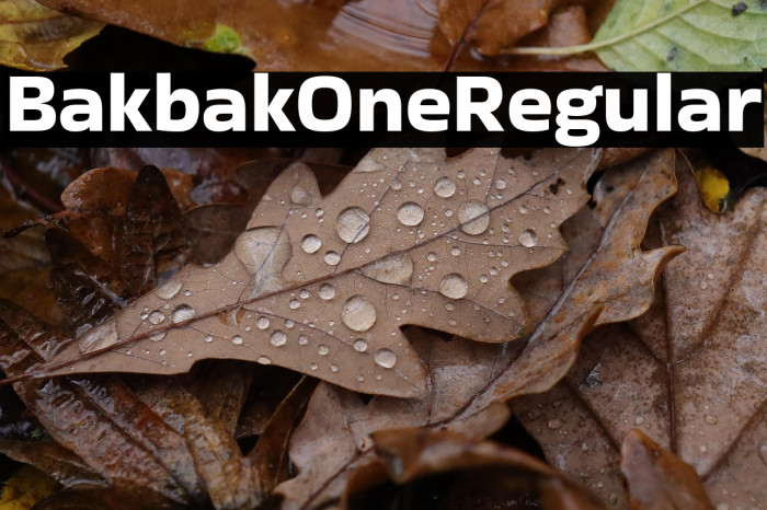 Bakbak One Regular Example 3