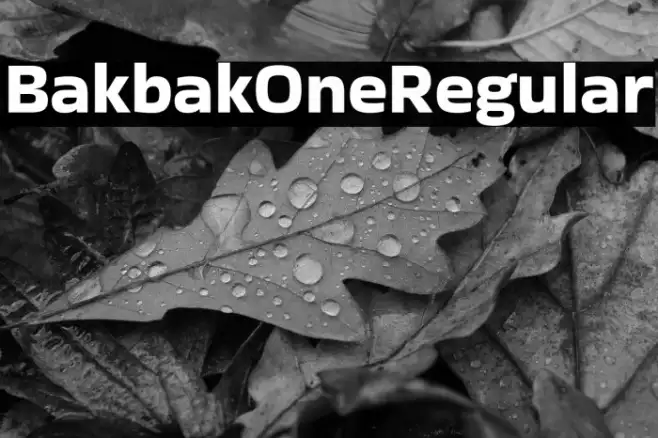 Bakbak One Regular Example 3