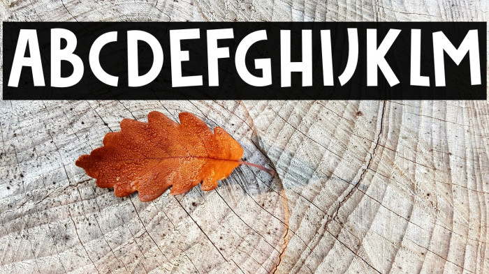 Bakeapple DEMO Regular Font examples