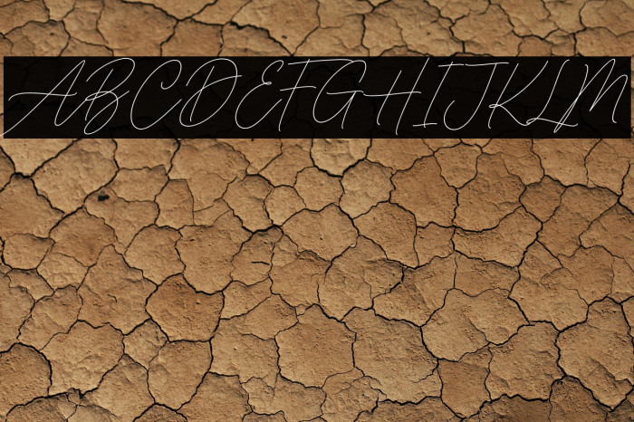 Baked Salmon Example 1