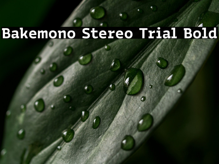 Bakemono Stereo Trial Bold Example 1