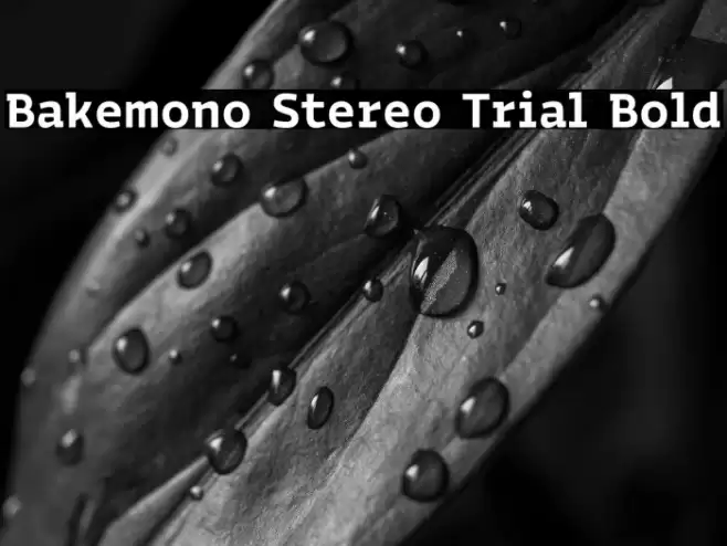 Bakemono Stereo Trial Bold 字体 examples
