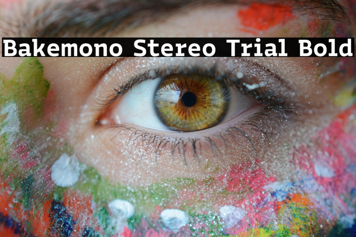 Bakemono Stereo Trial Bold Example 2