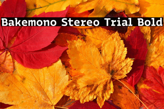 Bakemono Stereo Trial Bold Example 3