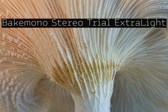 Bakemono Stereo Trial ExtraLight Example 3