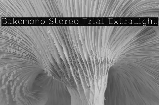 Bakemono Stereo Trial ExtraLight Fonte examples
