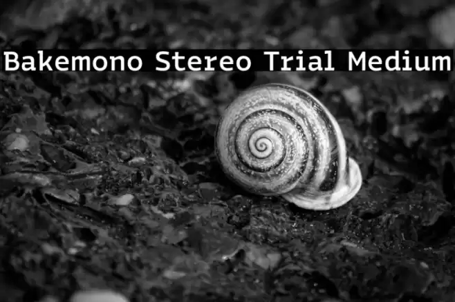 Bakemono Stereo Trial Medium Font examples