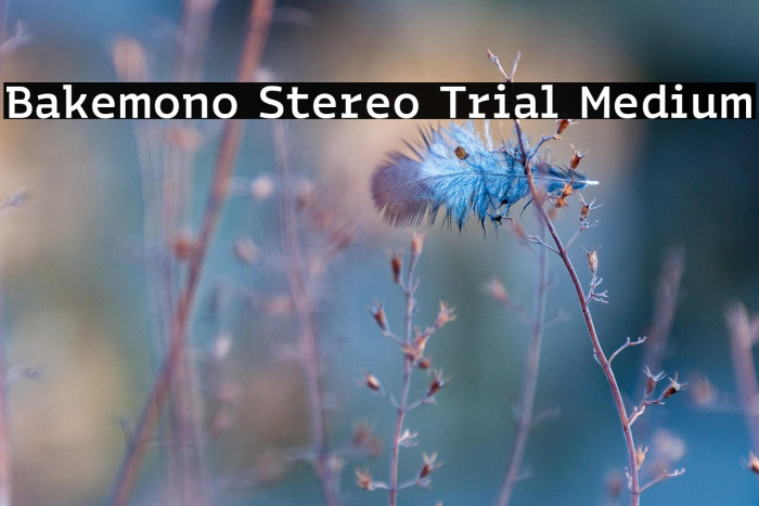 Bakemono Stereo Trial Medium Example 2