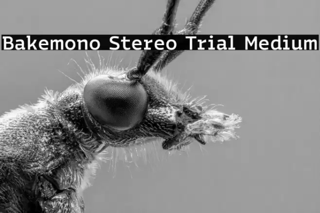Bakemono Stereo Trial Medium Font examples