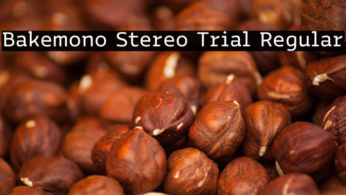Bakemono Stereo Trial Regular Example 2