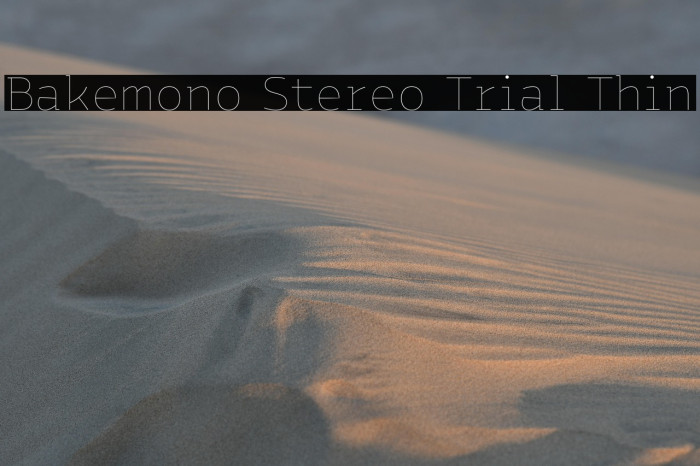Bakemono Stereo Trial Thin Example 2