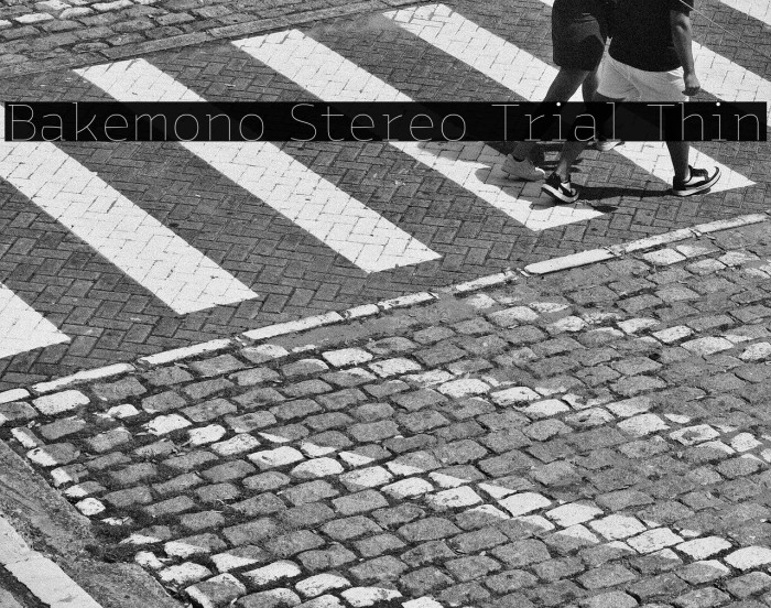 Bakemono Stereo Trial Thin Example 3