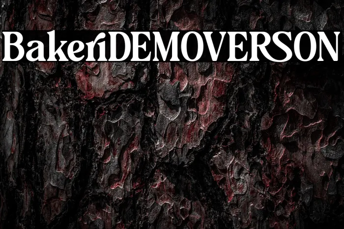 Bakeri DEMO VERSION Example 1