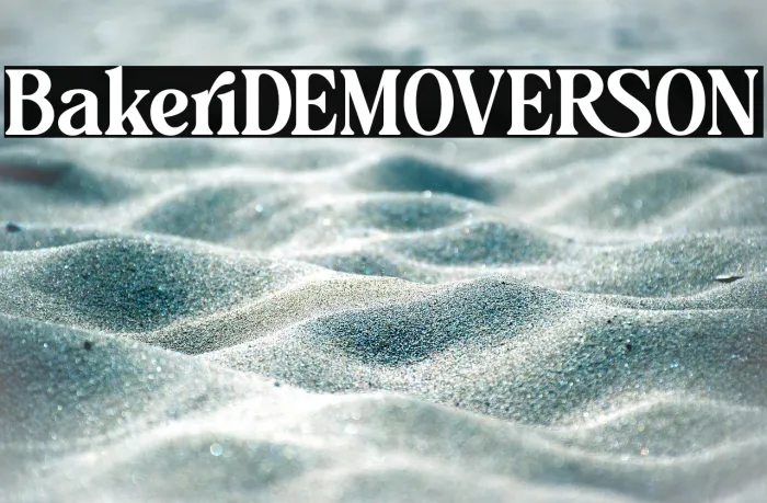 Bakeri DEMO VERSION Example 3
